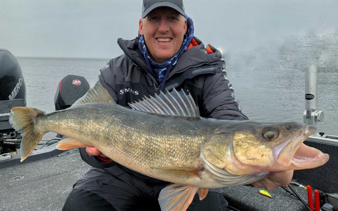 Best Bait For Walleye