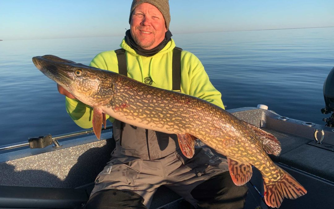 Where You Will Find All Sorts of Fish in Door County